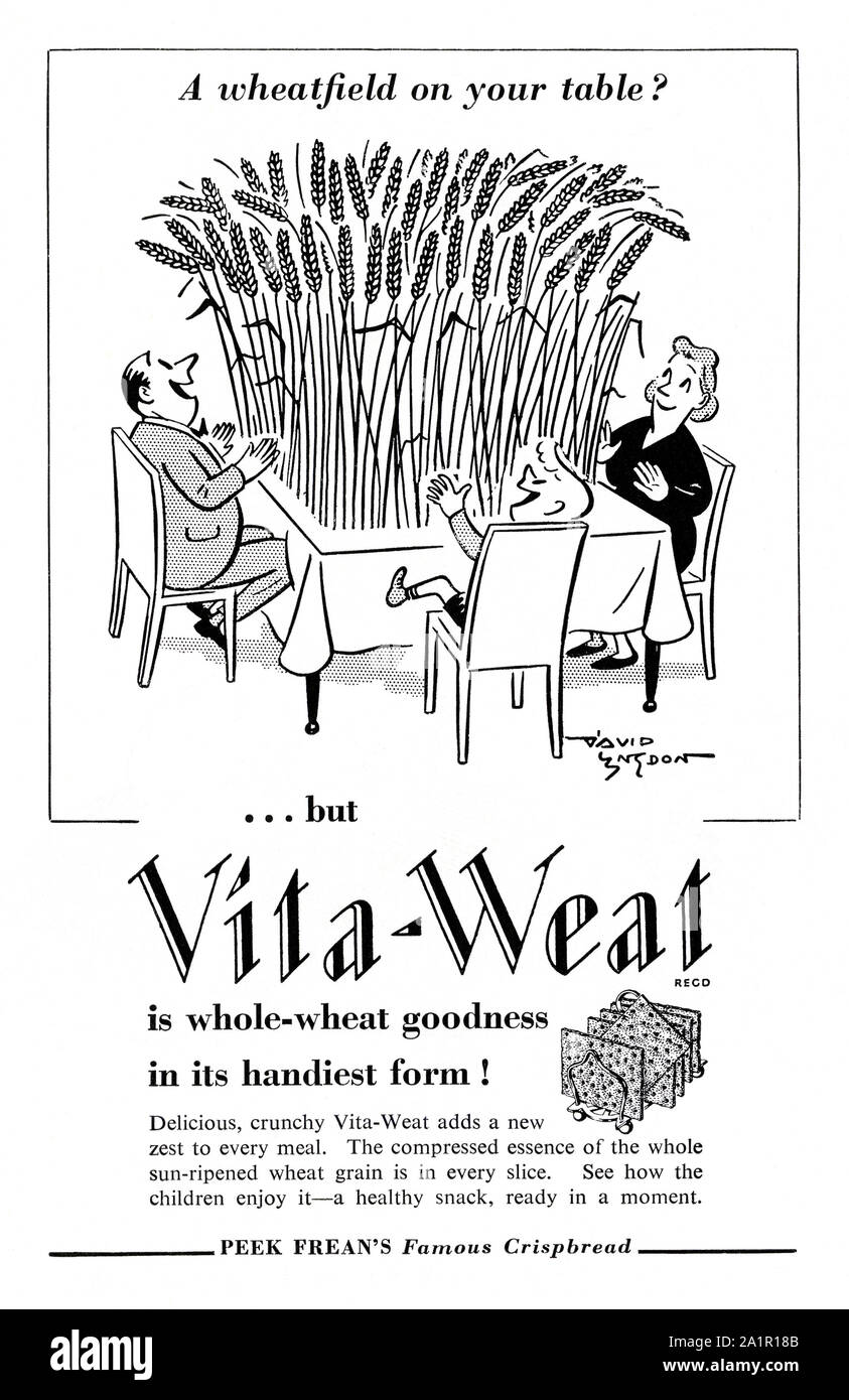 Anzeige für Peek Frean's Vita Weizen (Vita-Wheat) Knäckebrot Kekse, 1951. Die Abbildung zeigt eine Familie an einem Tisch, auf dem ein Weizenfeld gewachsen ist und die Werbung betont seine ganze - Weizen Güte. Peek Frean Vita-Wheat eingeführt, die erste britische Weizen Knäckebrot, von 1927. Stockfoto