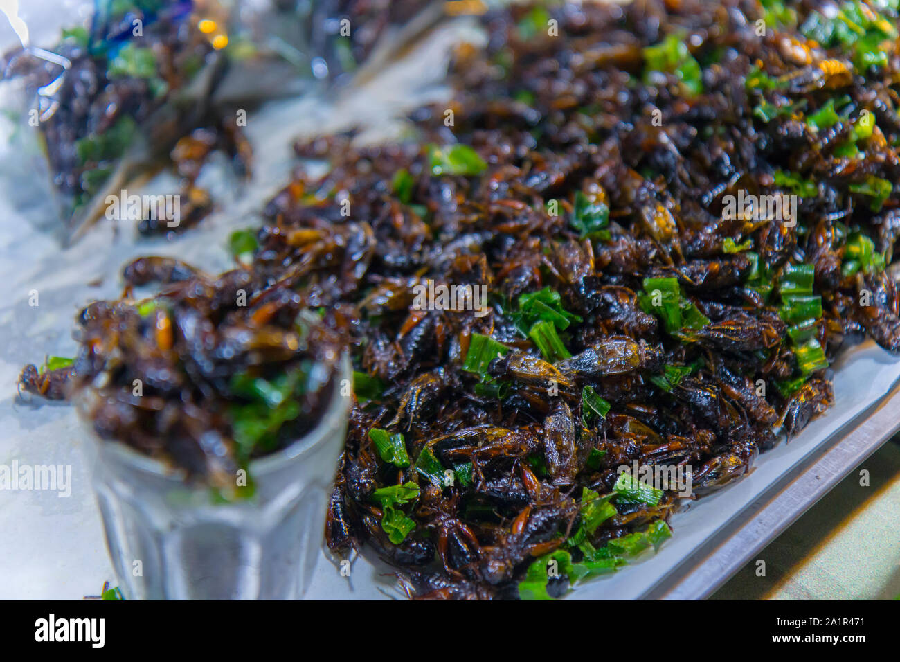 Gebratene Insekten auf den Straßen von Chiangmai Straße in Thailand hochauflösende Bilder Galerie. Stockfoto