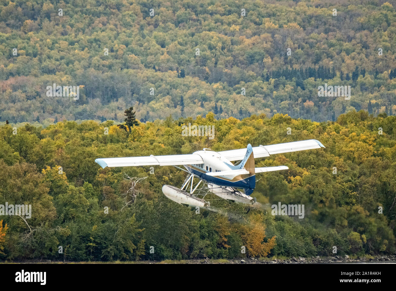 Ein Katmai Air de Havilland Canada DHC2 Beaver zieht aus Brooks Camp