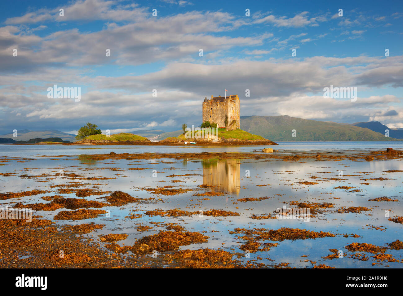 Castle Stalker in schönen Morgenlicht, Loch Laich, Argyll, Schottland, Vereinigtes Königreich. Stockfoto