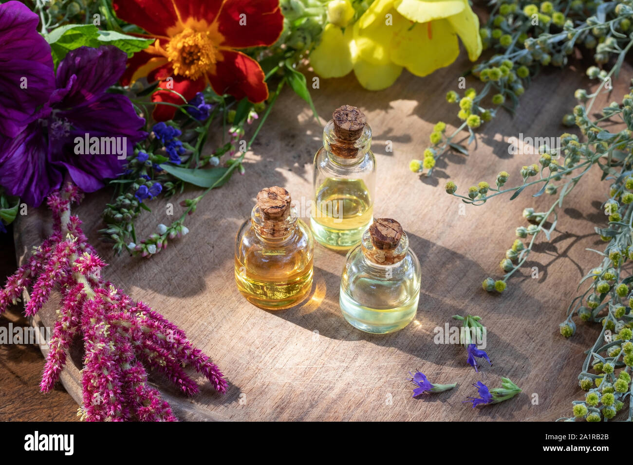 Ätherisches Öl Flaschen mit frischen Ysop, Wermut, Malve, Tagetes Patula und anderen Kräutern Stockfoto