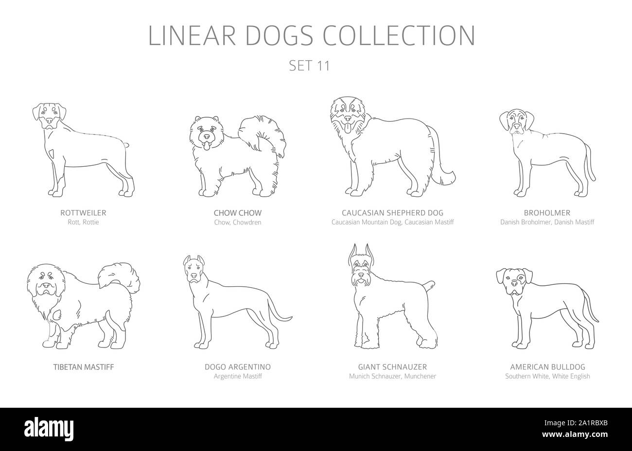 Einfache Linie hunde Sammlung isoliert auf Weiss. Hunderassen. Flat Style clipart eingestellt. Vector Illustration Stock Vektor