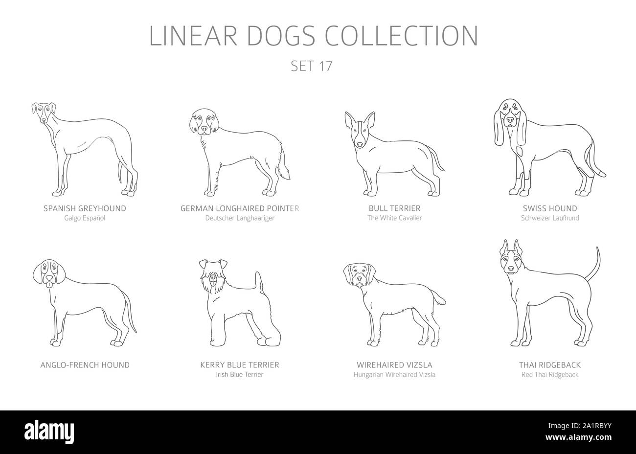 Einfache Linie hunde Sammlung isoliert auf Weiss. Hunderassen. Flat Style clipart eingestellt. Vector Illustration Stock Vektor