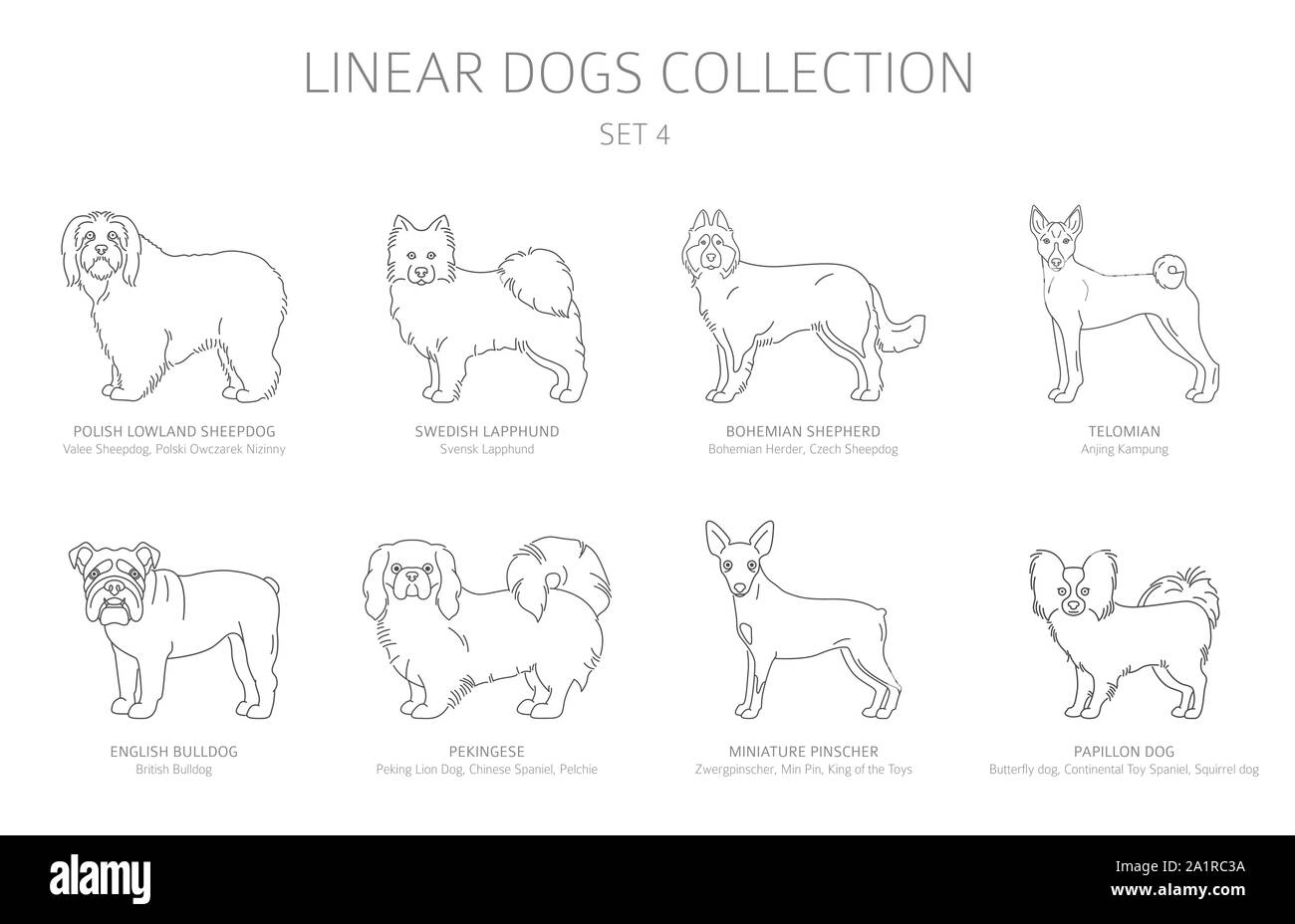 Einfache Linie hunde Sammlung isoliert auf Weiss. Hunderassen. Flat Style clipart eingestellt. Vector Illustration Stock Vektor