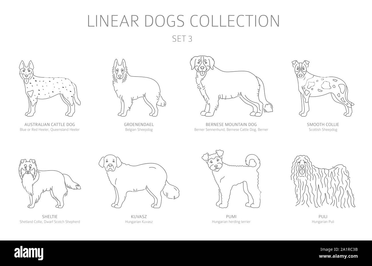 Einfache Linie hunde Sammlung isoliert auf Weiss. Hunderassen. Flat Style clipart eingestellt. Vector Illustration Stock Vektor