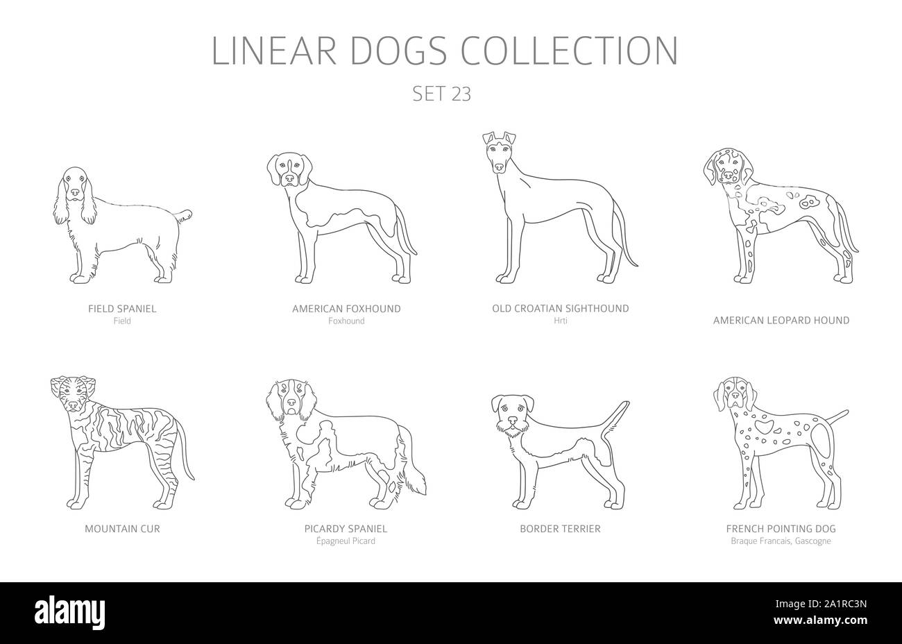 Einfache Linie hunde Sammlung isoliert auf Weiss. Hunderassen. Flat Style clipart eingestellt. Vector Illustration Stock Vektor