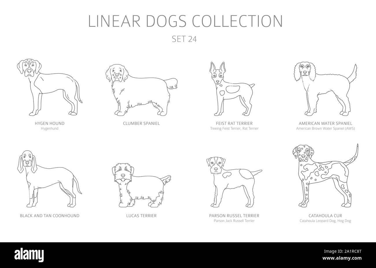 Einfache Linie hunde Sammlung isoliert auf Weiss. Hunderassen. Flat Style clipart eingestellt. Vector Illustration Stock Vektor