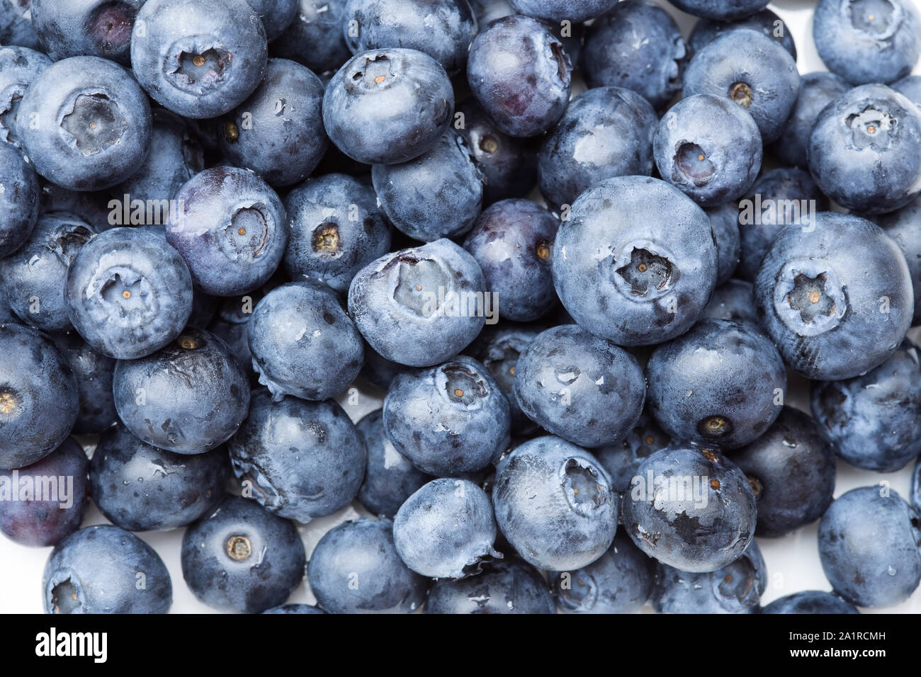 Frische Blaubeeren Nahaufnahme Stockfoto