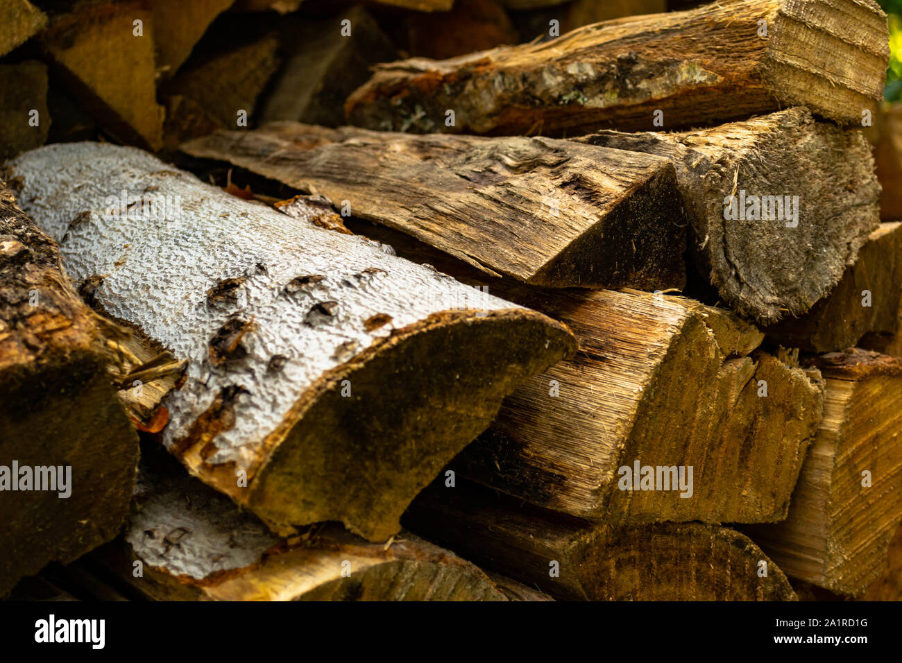 Eine Schnur von Abgelagertem Brennholz gestapelt Stockfoto
