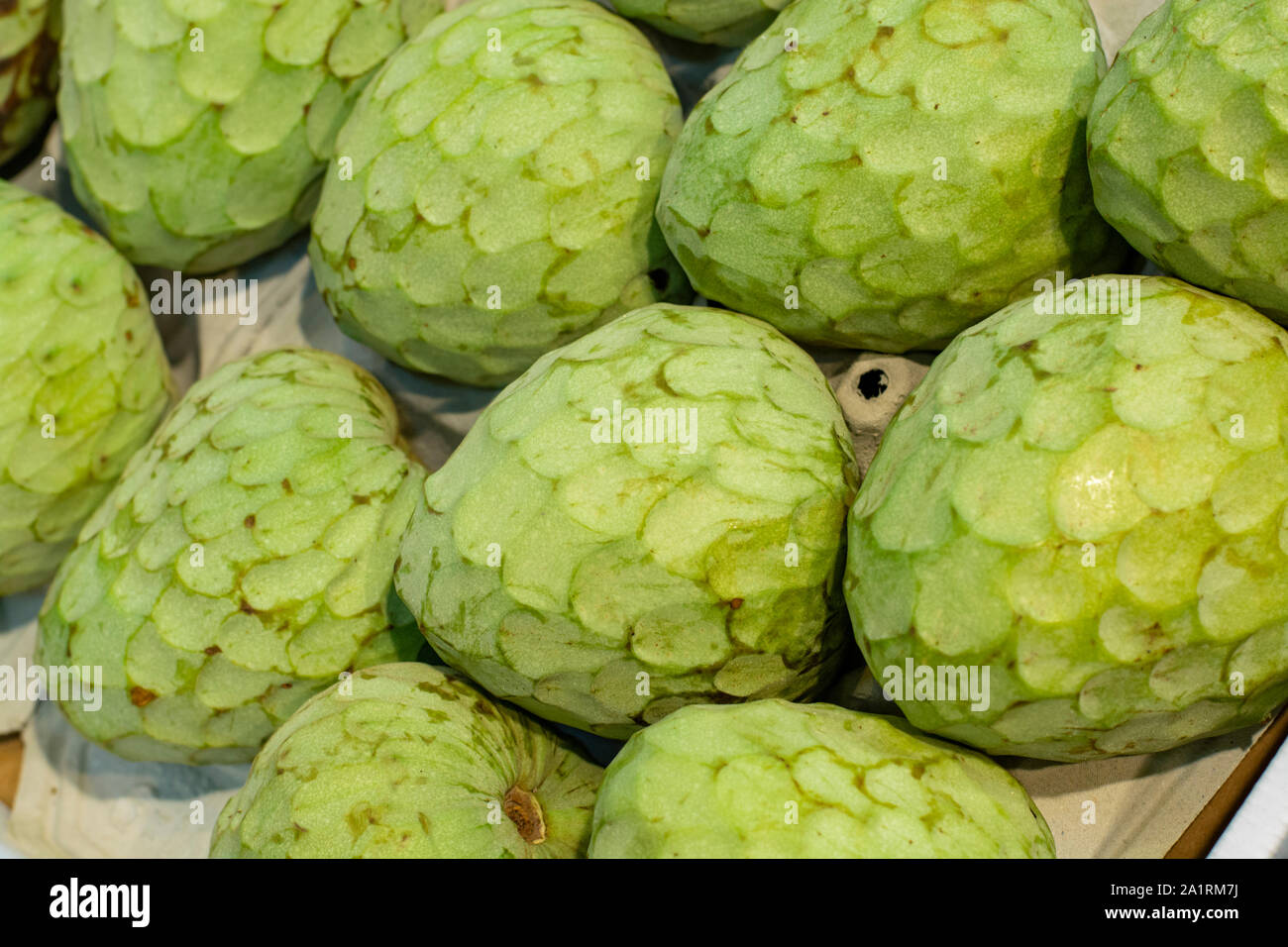 Tropische Fruchte Cherimoya Eis Obst Oder Custard Apple Auf Dem Markt In Spanien Stockfotografie Alamy
