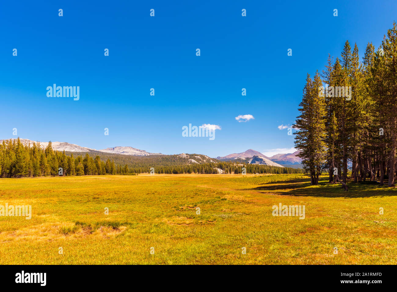 Tuolumne Meadows im Yosemite National Park, Kalifornien, USA Stockfoto