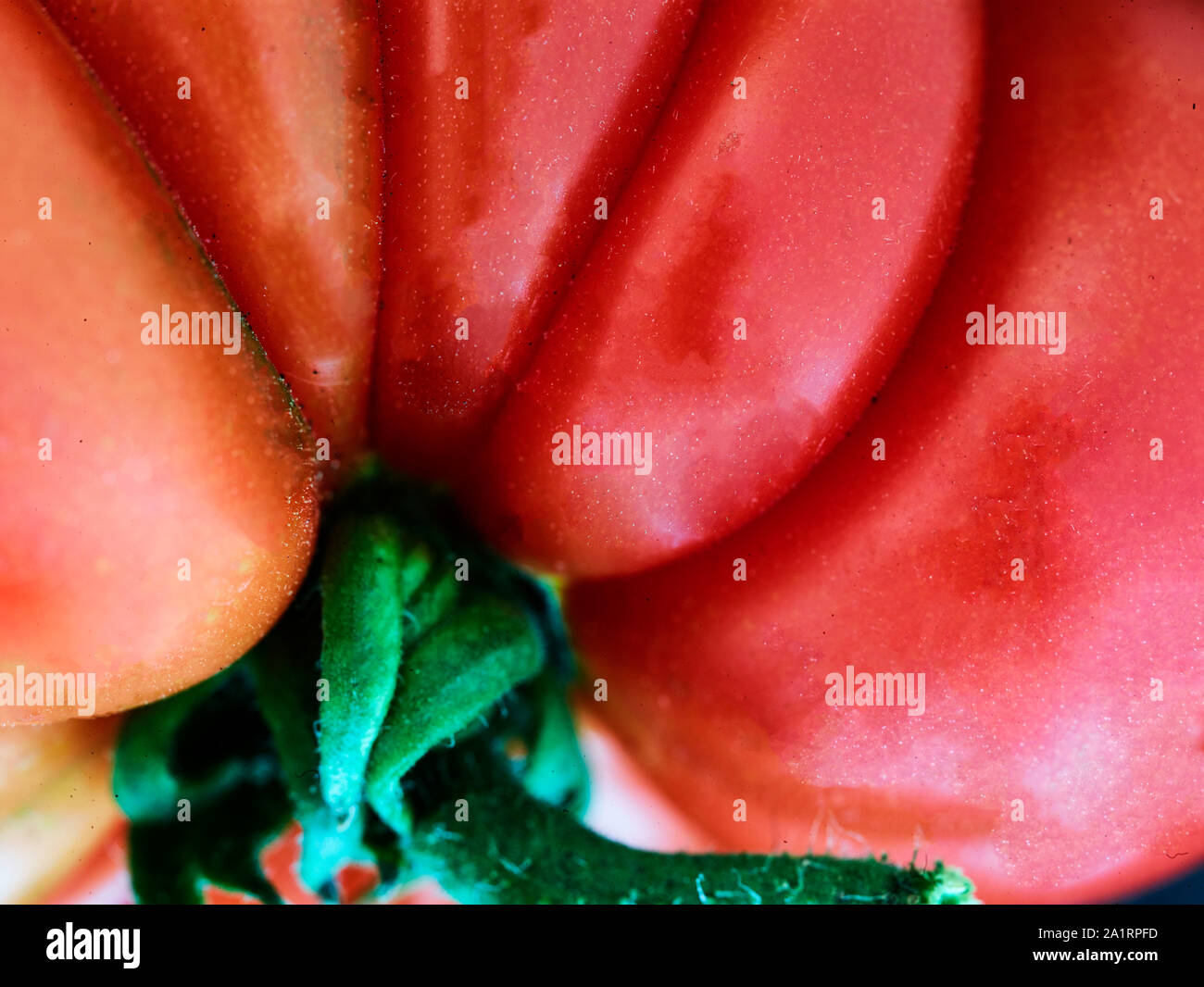 Makro, abstrakte Essen Portrait von Rindfleisch, Tomaten, London, England, Vereinigtes Königreich, Europa Stockfoto