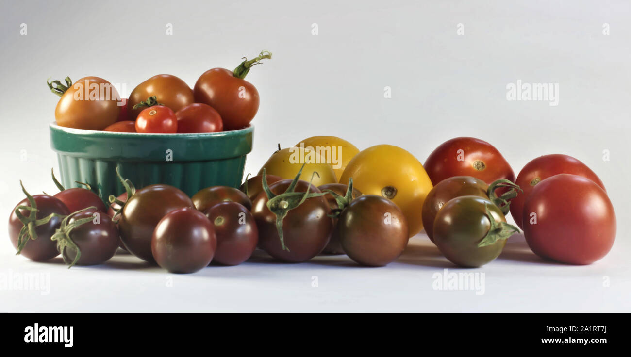 Auswahl an selbst angebauten Tomaten Stockfoto