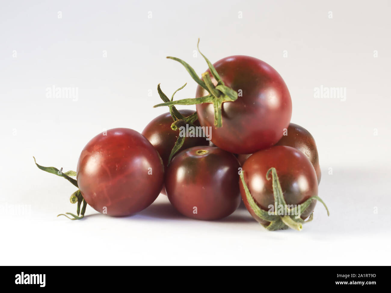 Auswahl an selbst angebauten Tomaten Stockfoto