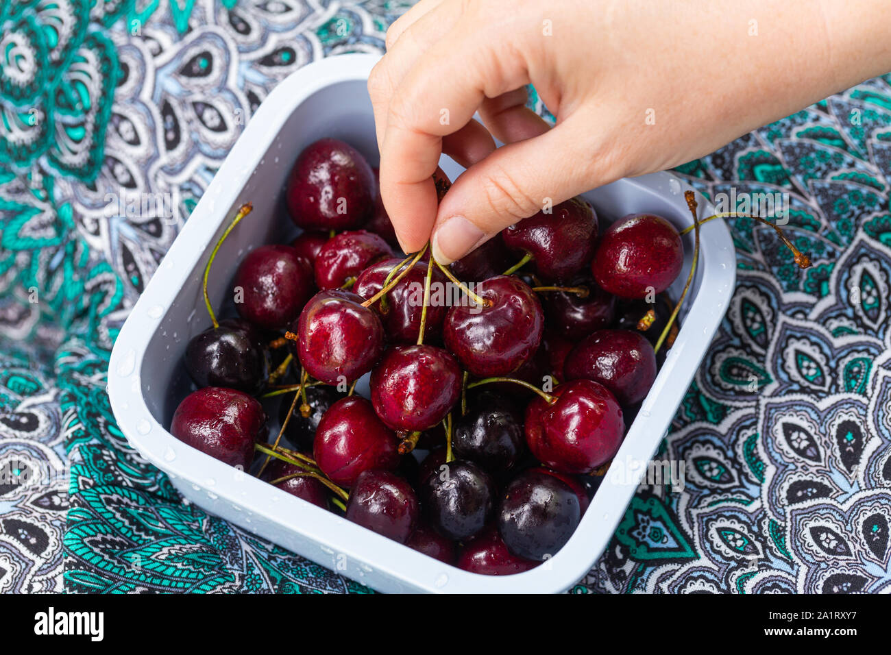 Behälter mit frischen Kirschen auf den Knien durch ein Mädchen gehalten Stockfoto