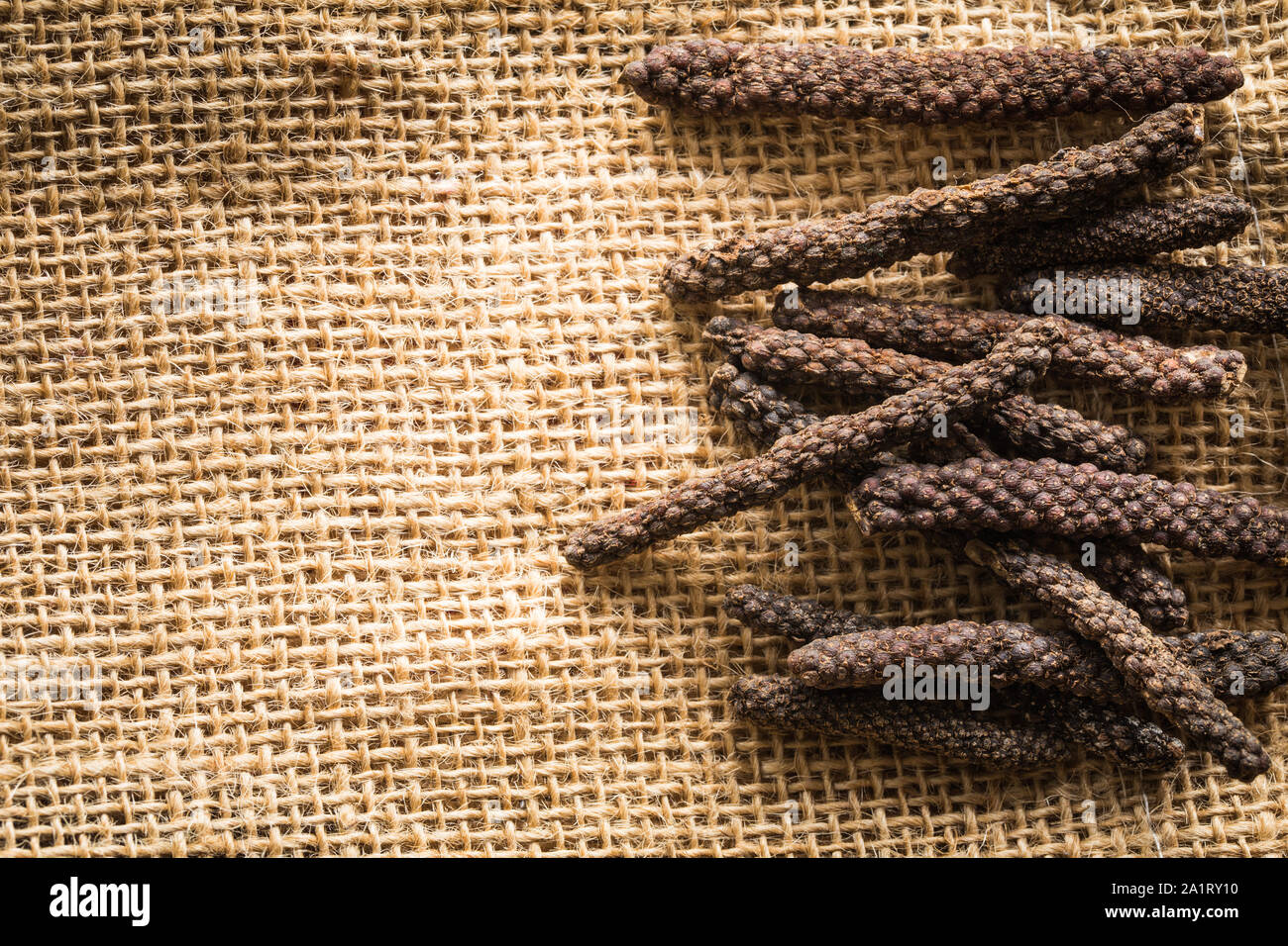 Black Chili. Natürlichen balinesischen Gewürze/Platz für Text Stockfoto