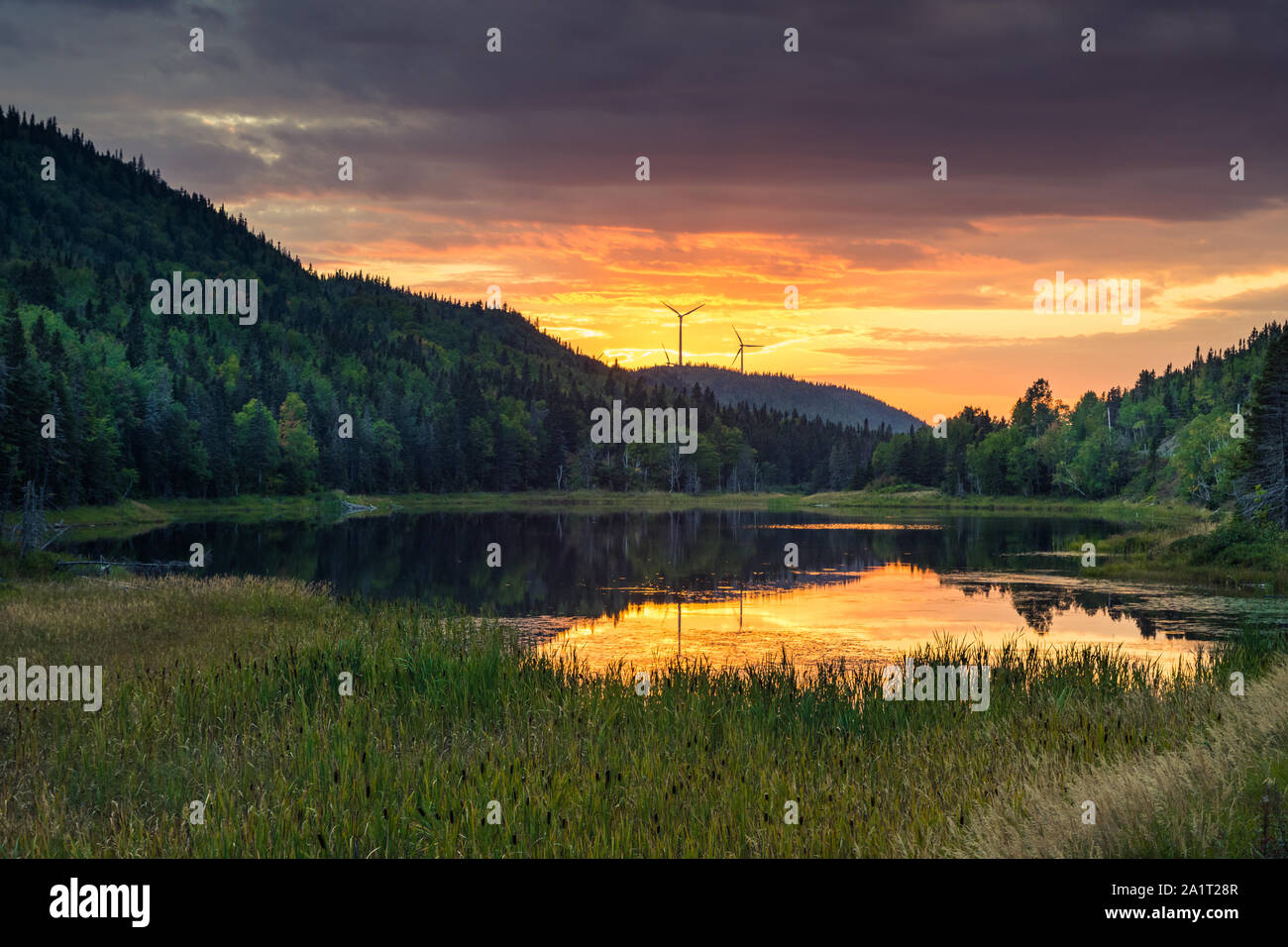 Lebendiger sonnenuntergang am kanadischen See (Gaspsie, Quebec) Stockfoto