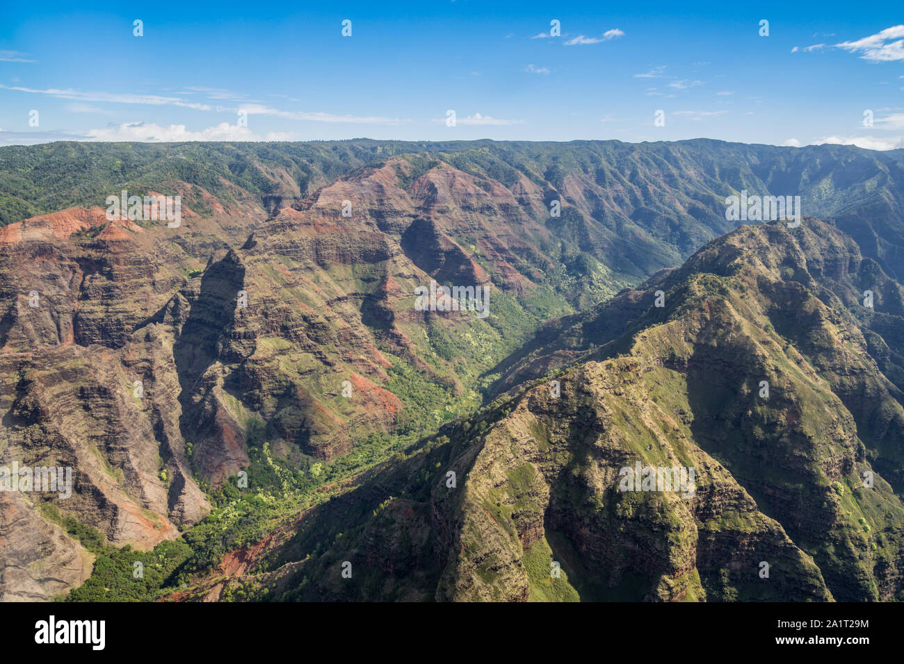 Waimea Canyon und Koke'e State Park in Kauai, Hawaii Stockfoto