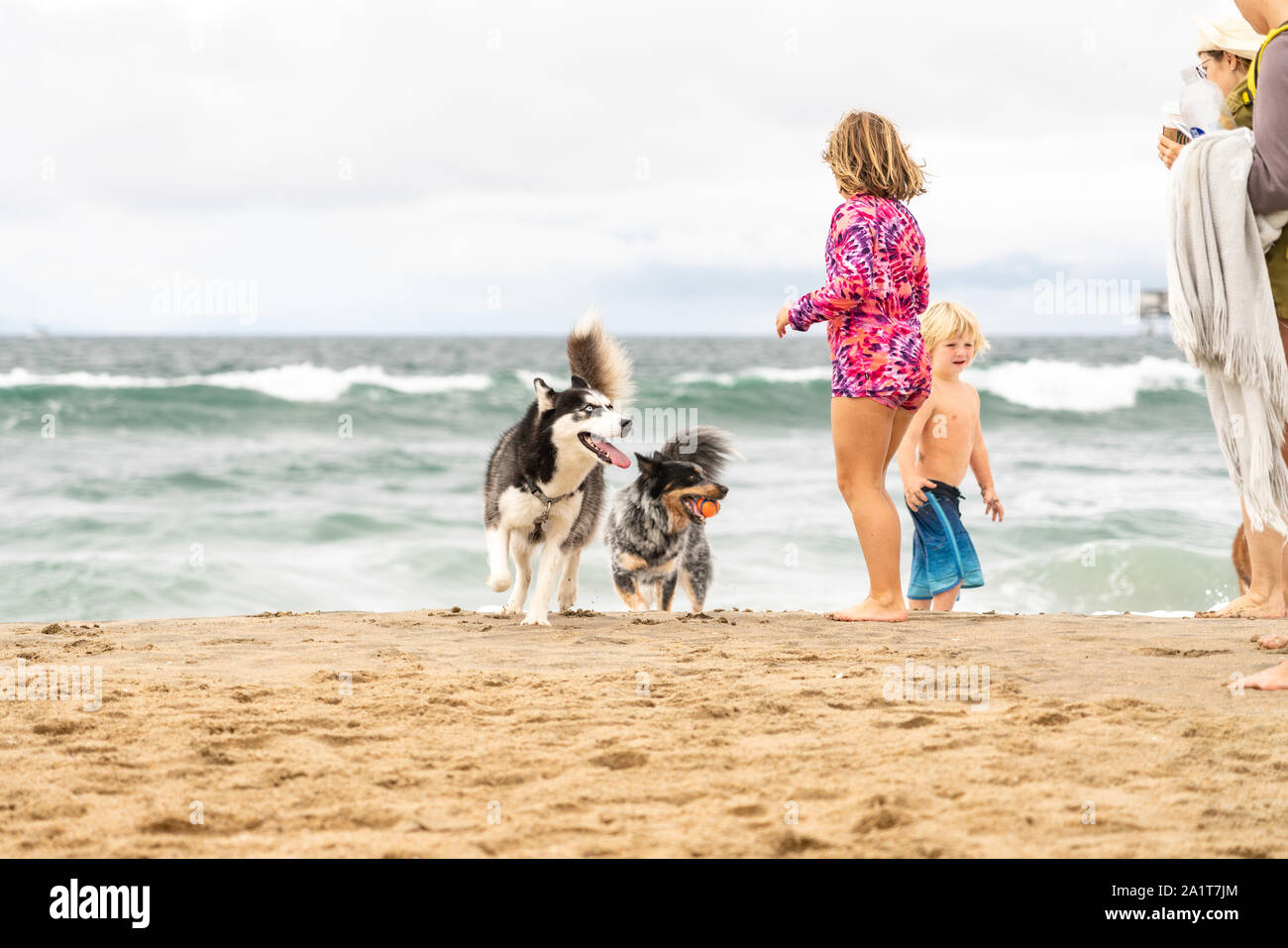 Huntington Beach, CA, USA. 28. September 2019. Treffen Sie neue Freunde, während Sie darauf warten, dazwischen im Surf Dog heizt. Credit: Ben Nichols/Alamy leben Nachrichten Stockfoto