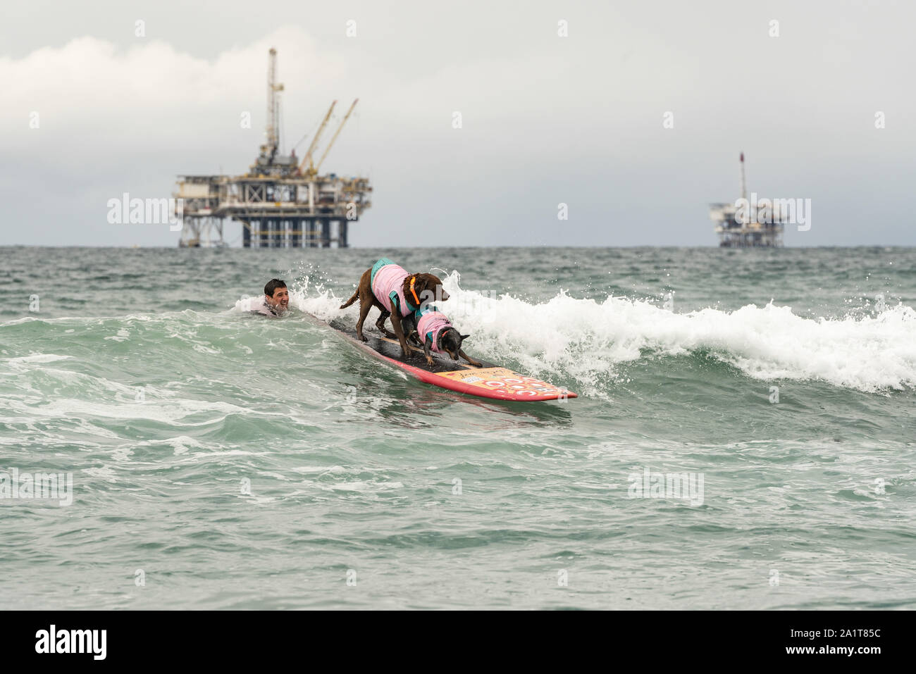 Huntington Beach, CA, USA. 28. September 2019. Bono und Maya Fahrt eine Welle zusammen. Credit: Ben Nichols/Alamy leben Nachrichten Stockfoto