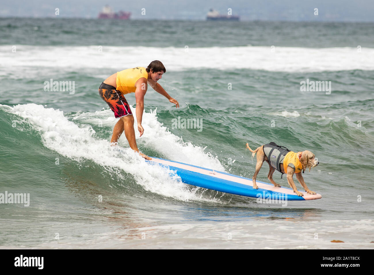 Huntington Beach, CA, USA. 28. September 2019. Bambus Fahrten mit Bobby Ellis. Credit: Ben Nichols/Alamy leben Nachrichten Stockfoto