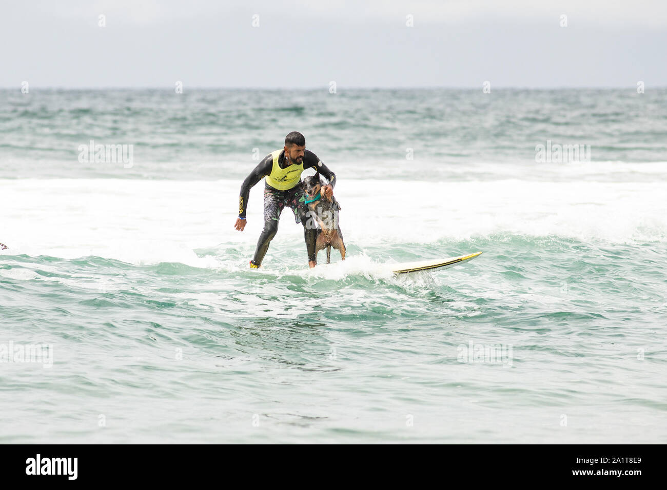 Huntington Beach, CA, USA. 28. September 2019. Maya Fahrten mit Eigentümer Gilson. Credit: Ben Nichols/Alamy leben Nachrichten Stockfoto