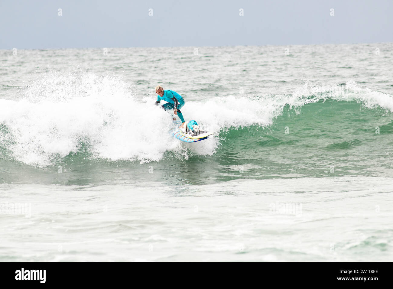 Huntington Beach, CA, USA. 28. September 2019. Zucker Fahrten mit Eigentümer Ryan. Credit: Ben Nichols/Alamy leben Nachrichten Stockfoto