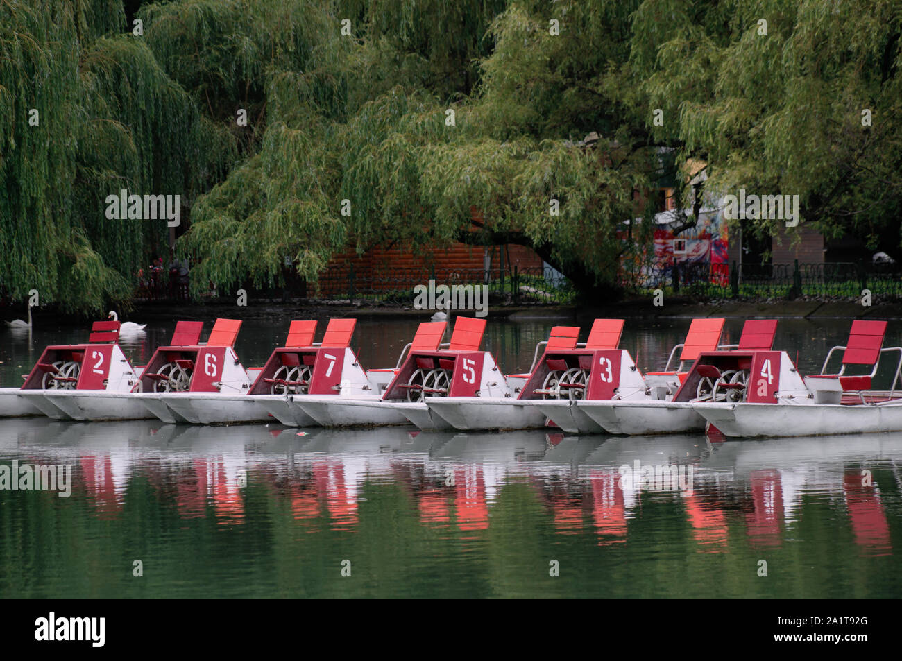 Linie der Katamarane mit weißen nimbers auf roten Teil der Einrichtungen auf dem Wasser von einem alten Park Teich umgeben von grünen Bäumen Stockfoto
