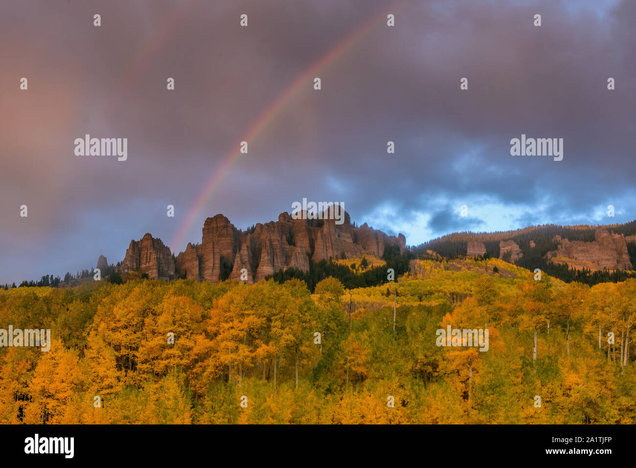 Regenbogen, Aspen, Populus Tremula, Cimarorn Ridge, Uncompahgre National Forest, Colorado Stockfoto