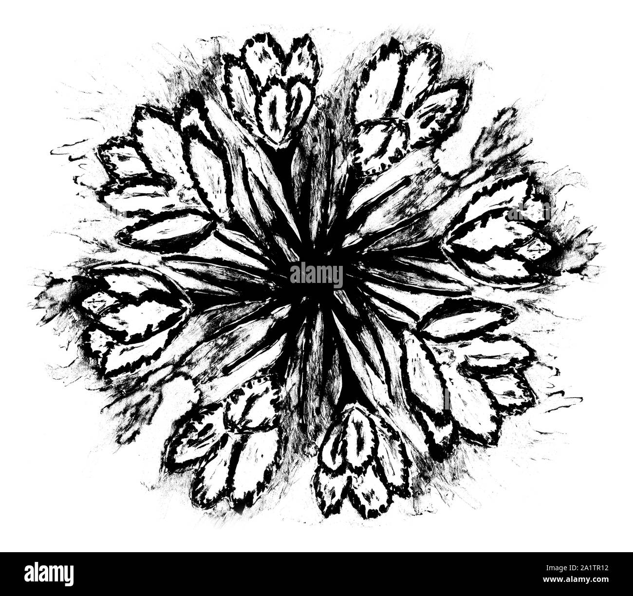 Frühling crocus Blumen mit Blättern, grunge Aquarell Malerei. Stockfoto