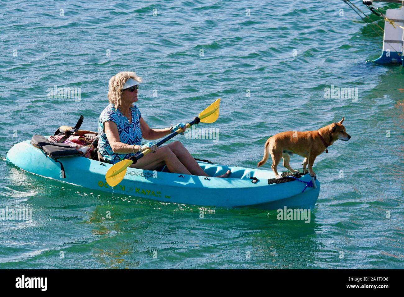 September 28, 2019: Santa Barbara Hafen Kajak Frau und Hund Credit: Amy Katz/ZUMA Draht/Alamy leben Nachrichten Stockfoto