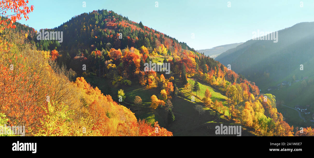 Schwarzwald im Herbst - Panorama Stockfoto