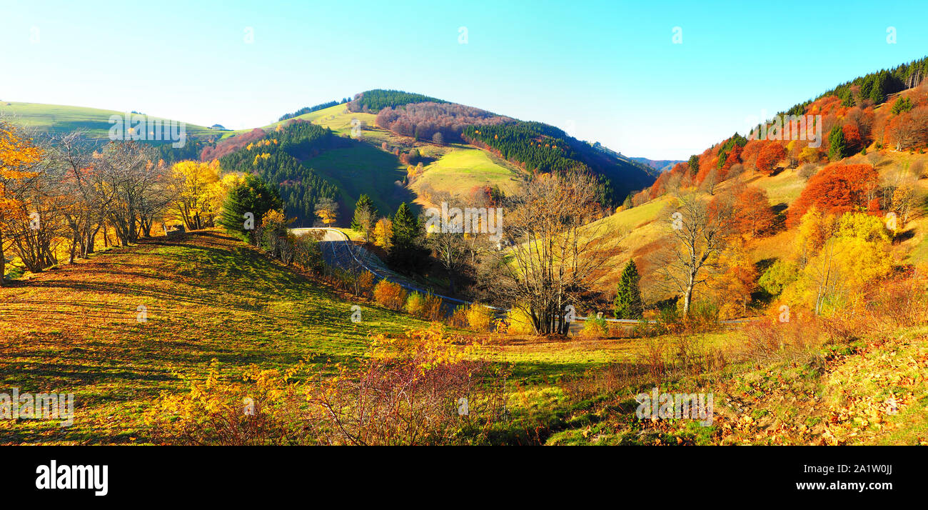 Schwarzwald im Herbst - Panorama Stockfoto