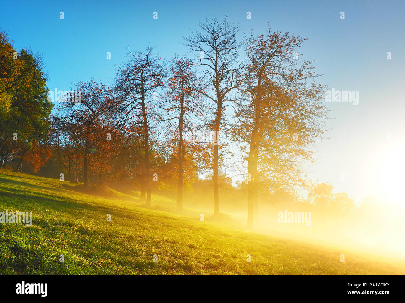 Schwarzwald im Herbst - Morgensonne Panorama Stockfoto