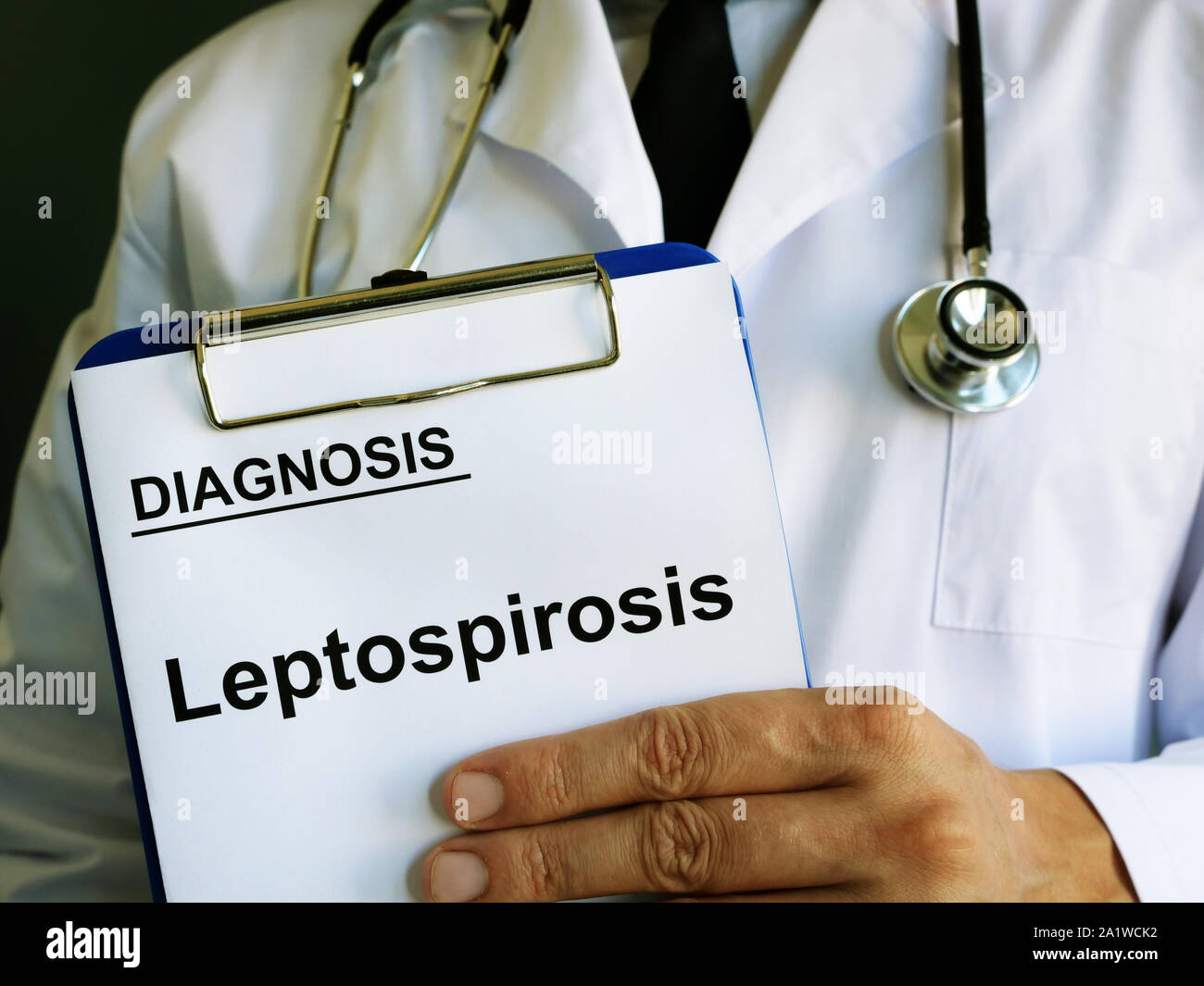 Medizinische Form mit Leptospirose in der Zwischenablage