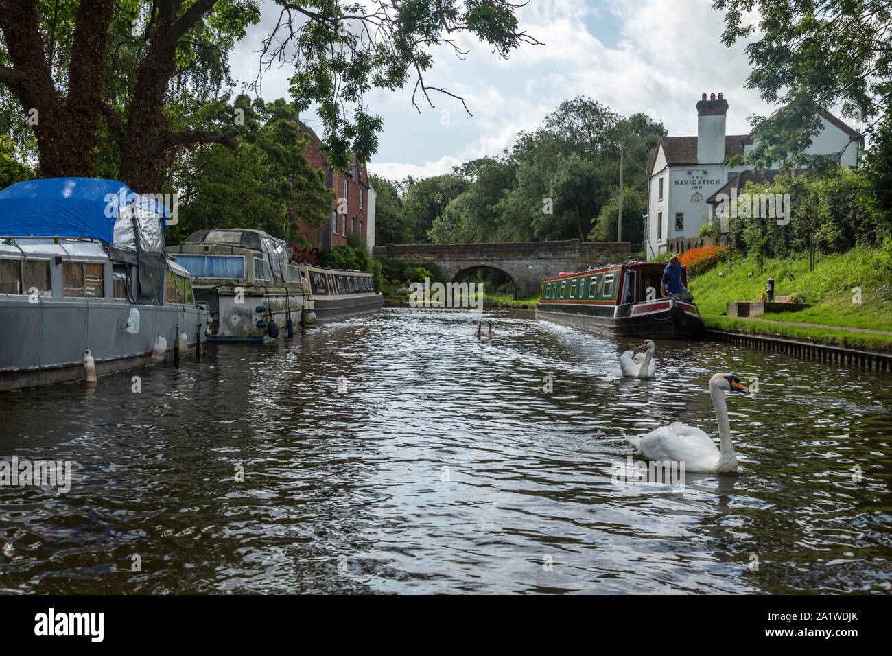 Schwäne auf dem Shropshire Union Canal in England, in der Ortschaft Gnosall, mit der Navigation Inn und ein Backstein Brücke hinter, und schmale Boote. Stockfoto