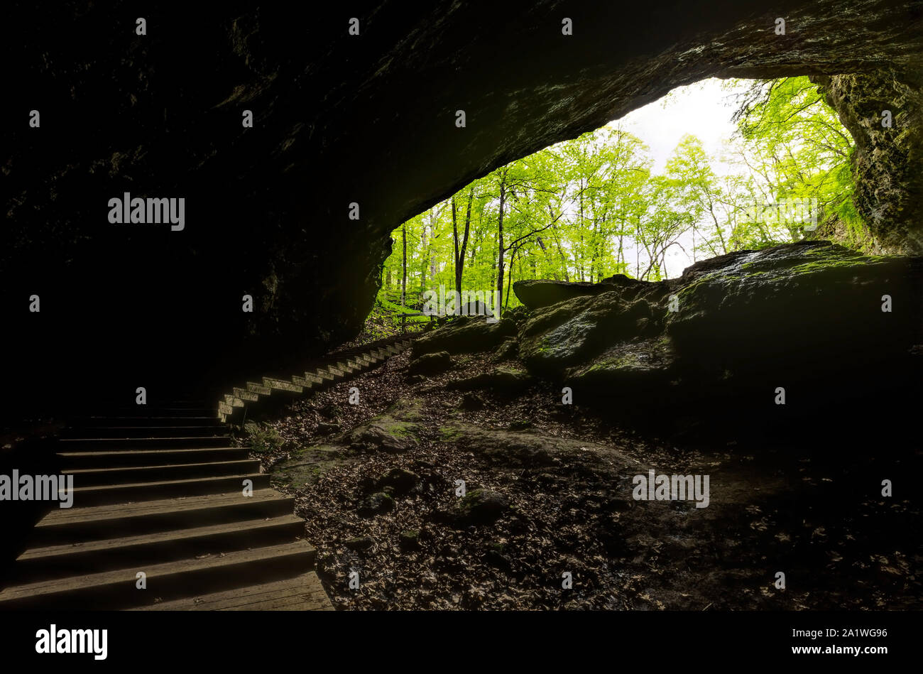 Treppen im Inneren einer Höhle heraus in den Wald führenden Stockfoto