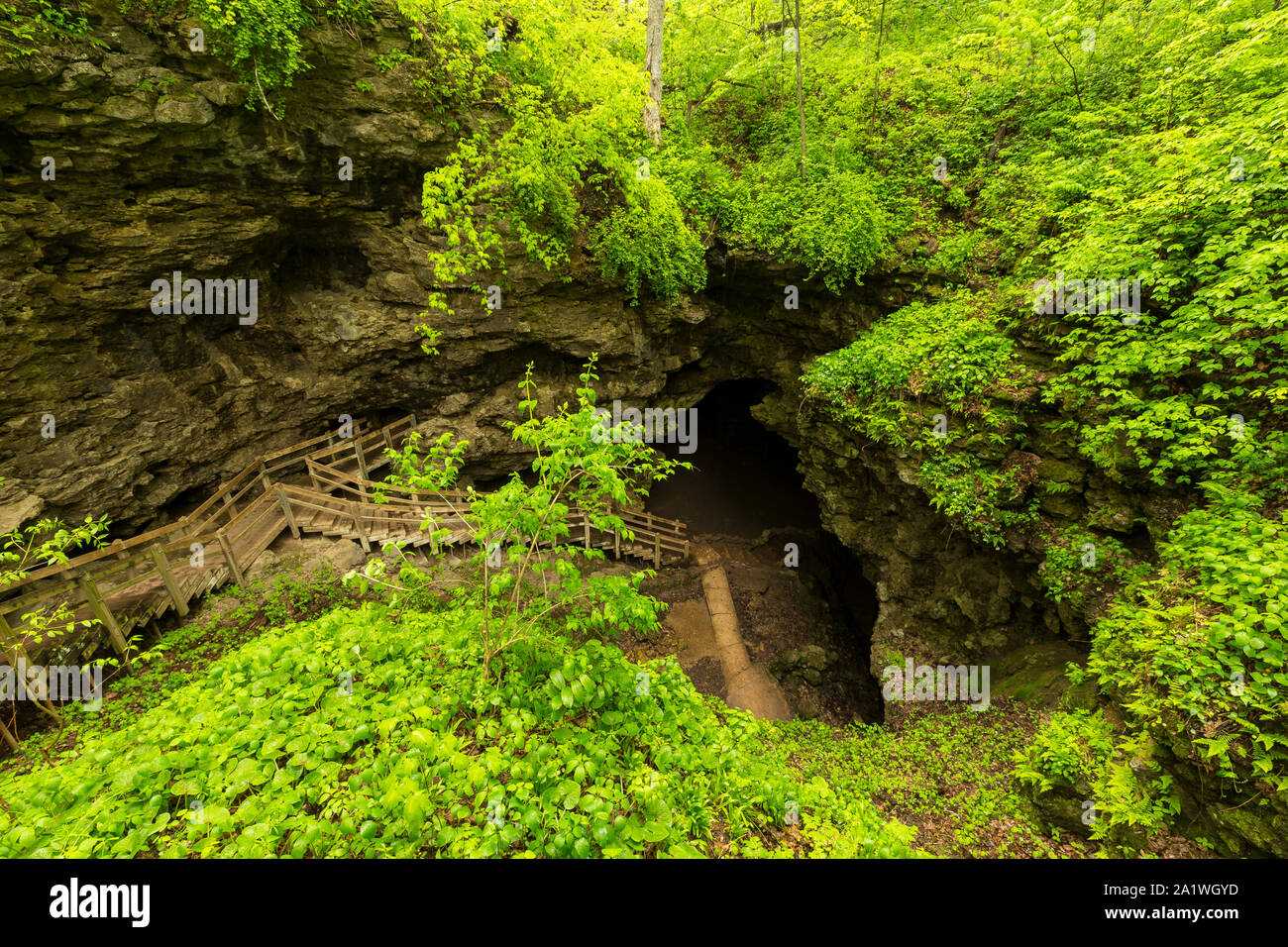 Treppen zum Eingang zu einer Höhle Stockfoto