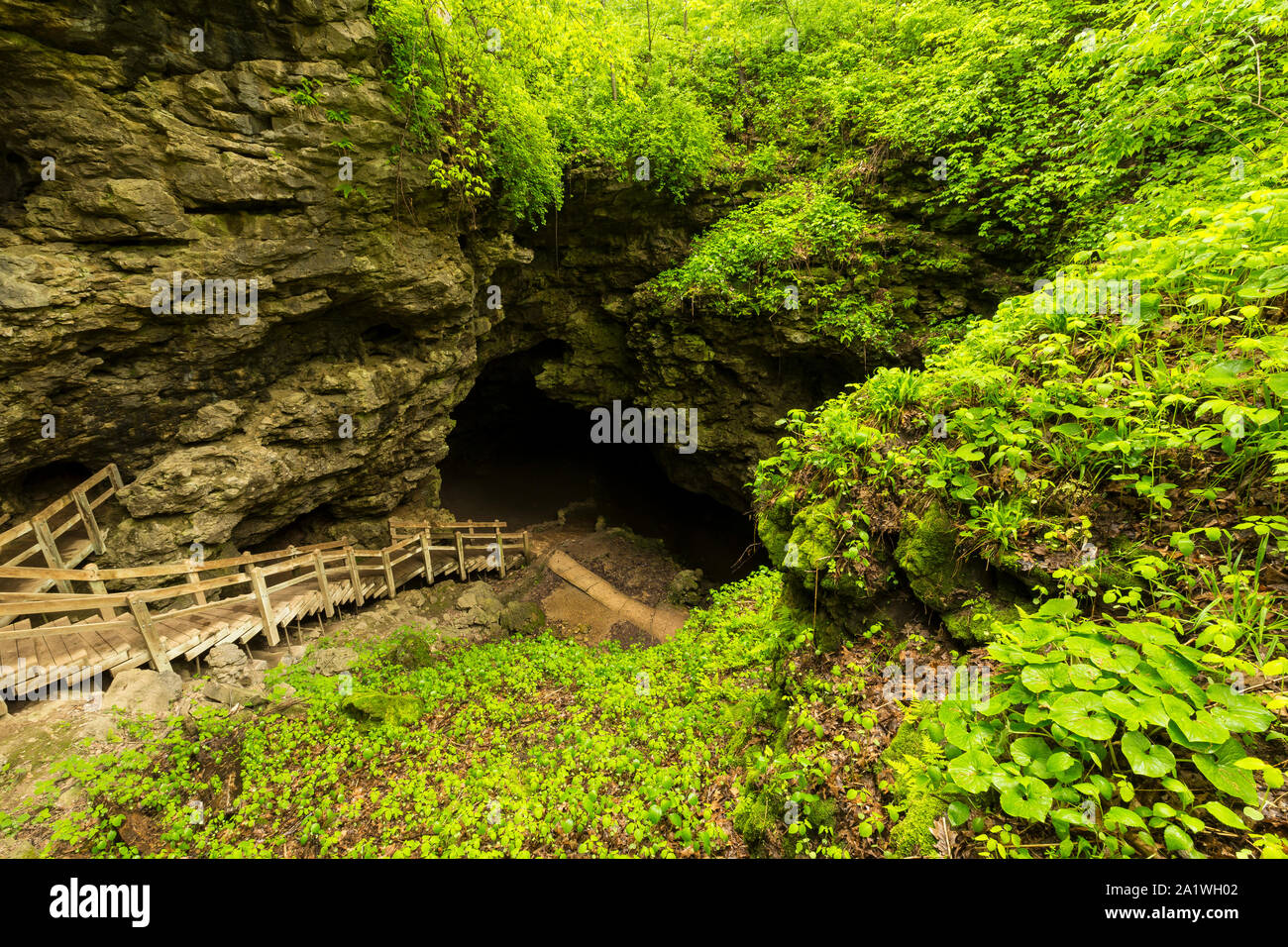Treppen zum Eingang zu einer Höhle Stockfoto