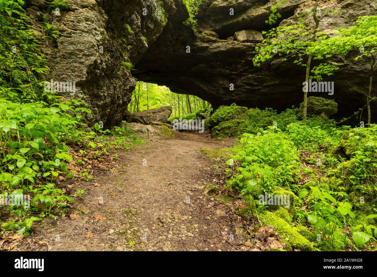 Wanderweg durch natürliche Brücke Stockfoto