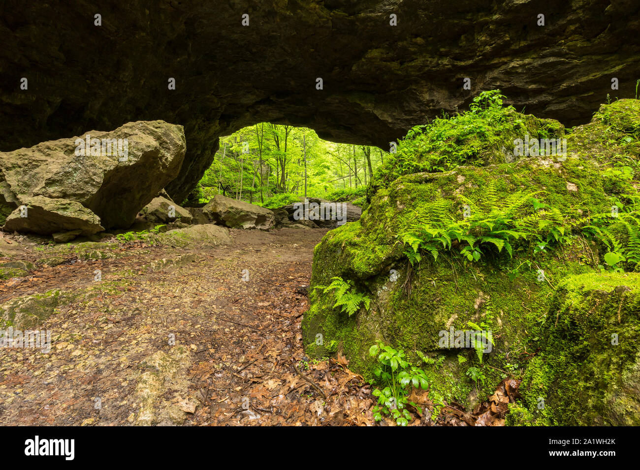 Wanderweg durch natürliche Brücke Stockfoto