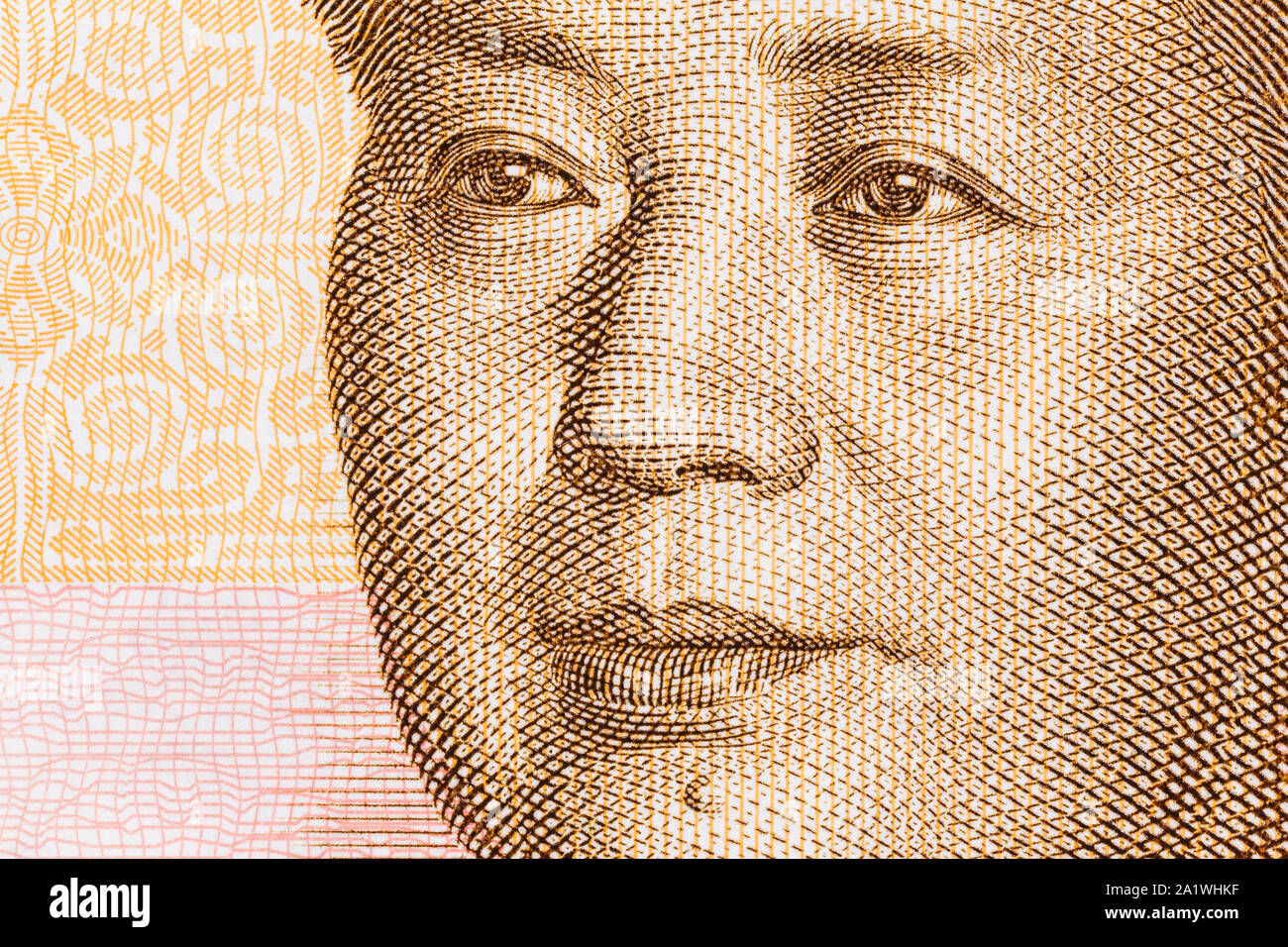 Makro Nahaufnahme Foto von Mao in China 20 Yuan Währung beachten. Stockfoto