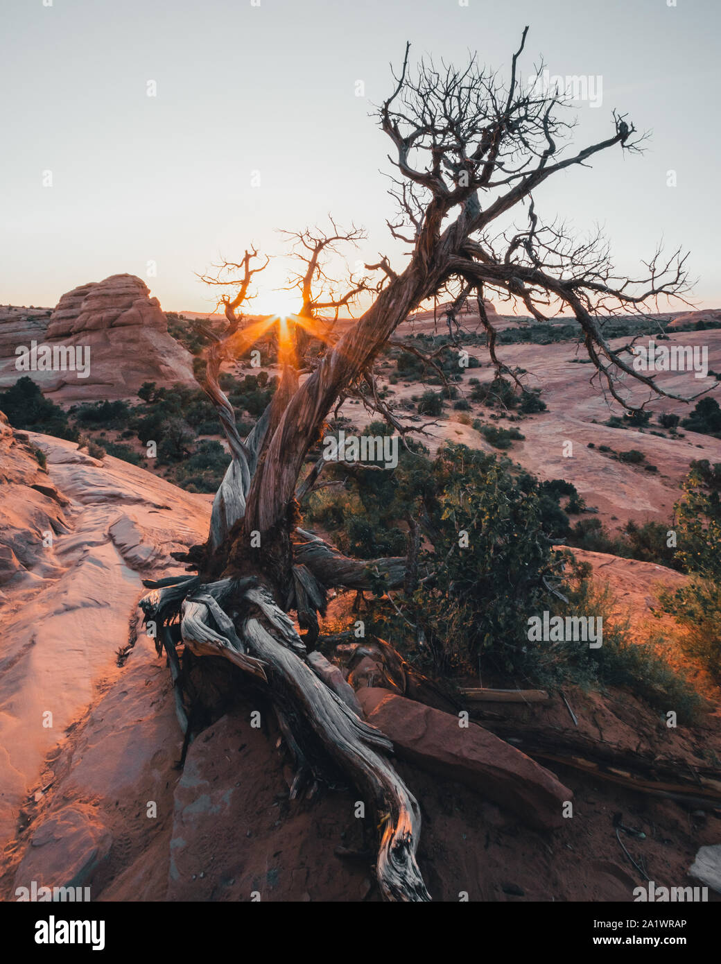 Arches National Park, Utah, Vereinigte Staaten von Amerika, Zarten Arch, die La Sal Mountains, Balanced Rock, Tourismus, Travel Destination. Stockfoto