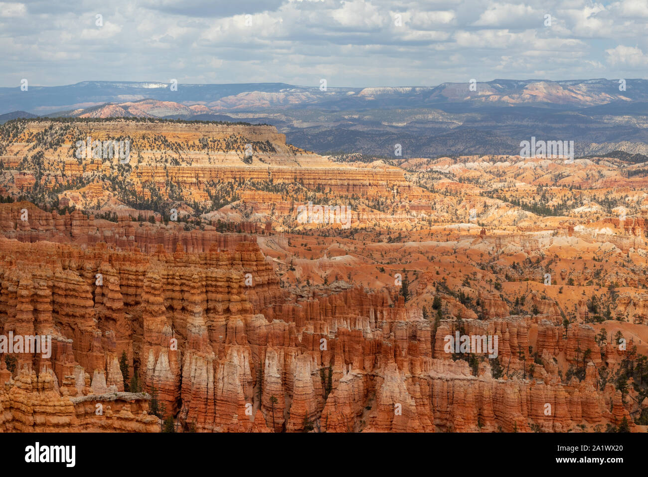 Die unglaublichen Felsformationen im Bryce Canyon National Park, National Park, Vereinigte Staaten von Amerika, USA, Reiseziel, schöne Landschaft, u Stockfoto
