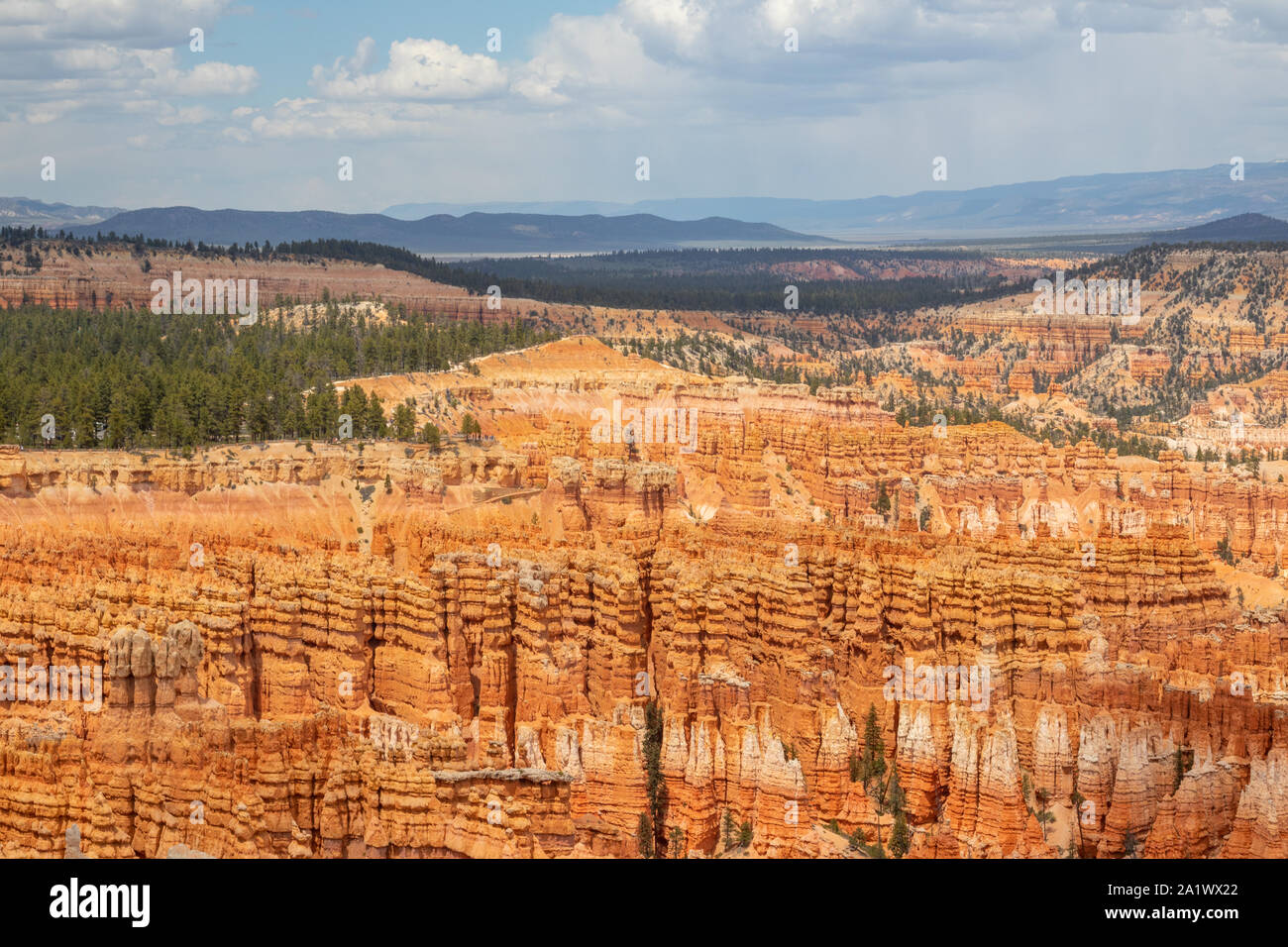 Die unglaublichen Felsformationen im Bryce Canyon National Park, National Park, Vereinigte Staaten von Amerika, USA, Reiseziel, schöne Landschaft, u Stockfoto