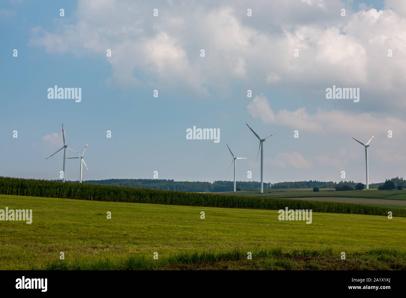 Große Windmühlen für Windenergie auf dem Feld Stockfoto