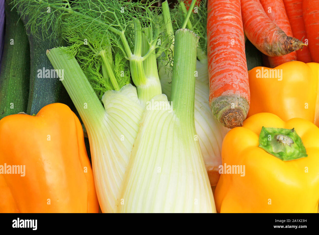 Fenchel, Paprika und Karotten Stockfoto