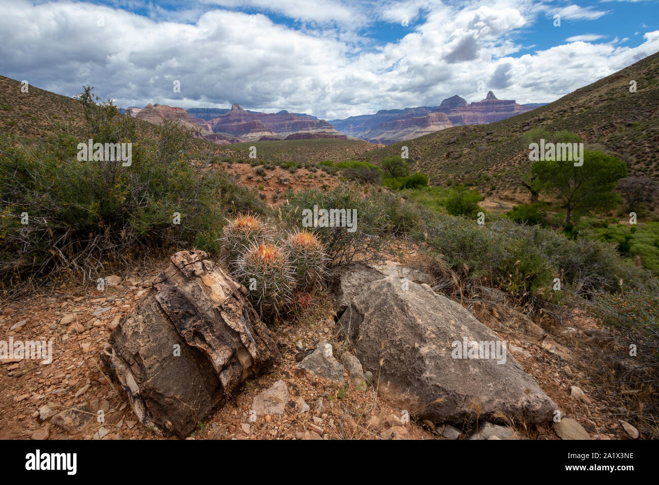 Der Grand Canyon ist eine steile Schlucht geschnitzt von den Colorado River in Arizona, Usa. Reiseziel, schöne Landschaft, Landschaft. Hug Stockfoto