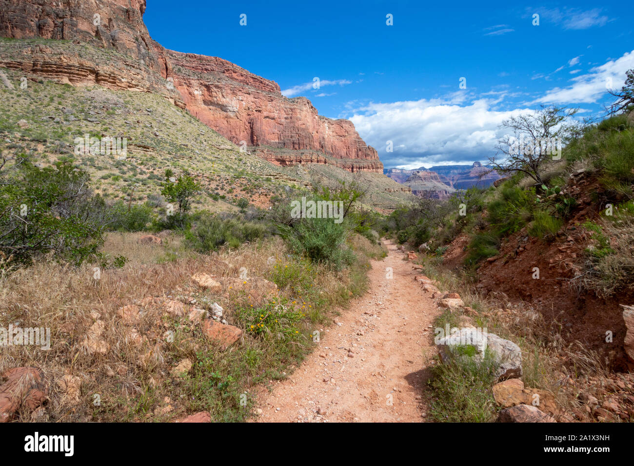 Der Grand Canyon ist eine steile Schlucht geschnitzt von den Colorado River in Arizona, Usa. Reiseziel, schöne Landschaft, Landschaft. Hug Stockfoto