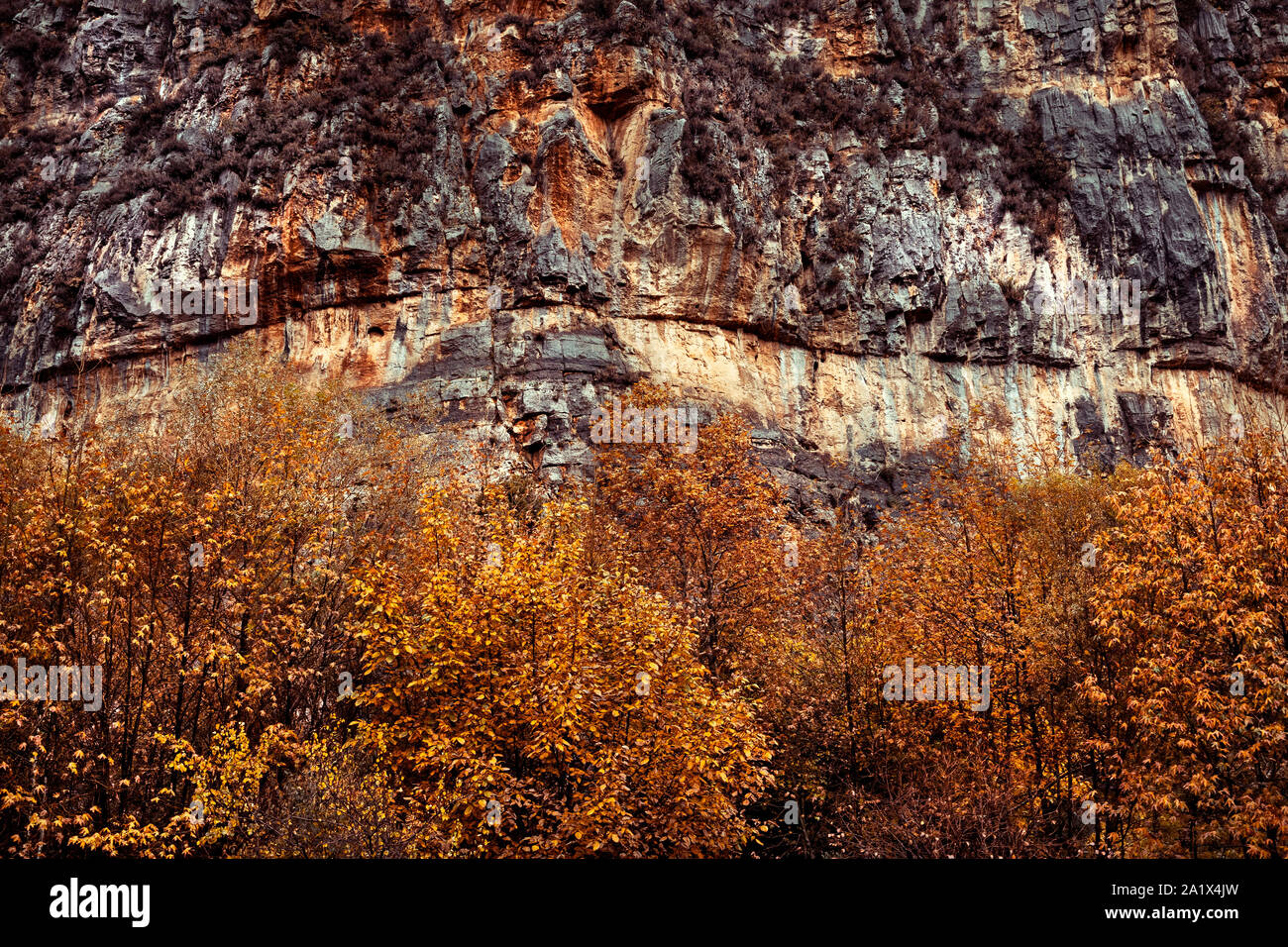 Schönheit der Herbst, Bäume mit goldenen Laub unter großer Berg, abstrakte natürlichen Hintergrund, die Veränderung der Jahreszeiten Konzept Stockfoto